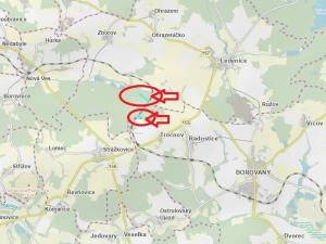 Prodej podílu lesa, Ledenice, 4462 m2