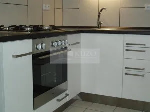 Pronájem bytu 1+1, Chomutov, Haškova, 30 m2