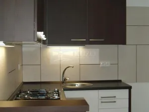 Pronájem bytu 1+1, Chomutov, Haškova, 30 m2