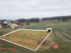 Prodej pozemku pro bydlení, Rybná nad Zdobnicí, 1000 m2