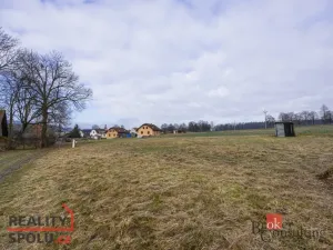Prodej pozemku pro bydlení, Rybná nad Zdobnicí, 1000 m2
