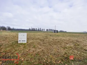 Prodej pozemku pro bydlení, Rybná nad Zdobnicí, 1000 m2