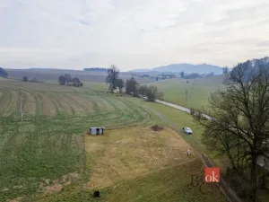 Prodej pozemku pro bydlení, Rybná nad Zdobnicí, 1000 m2