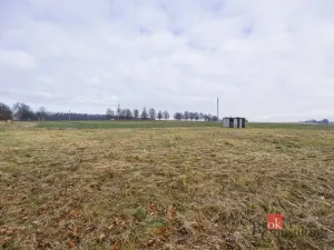 Prodej pozemku pro bydlení, Rybná nad Zdobnicí, 1000 m2