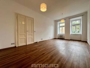 Pronájem bytu 1+1, Brno, Jugoslávská, 49 m2