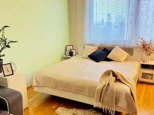 Prodej bytu 1+1, Hradec Králové, Milady Horákové, 47 m2