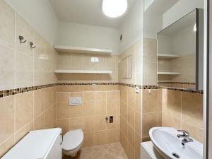 Pronájem bytu 1+1, Mladá Boleslav - Mladá Boleslav II, Svojsíkova, 38 m2