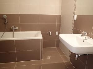 Pronájem bytu 1+kk, Brno, Kigginsova, 47 m2