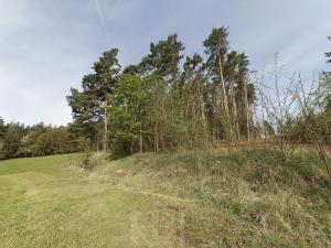 Prodej zemědělské usedlosti, Slabčice, 109 m2