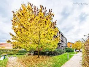 Pronájem bytu 2+1, Dobříš, 64 m2