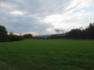 Dražba pole, Počátky, 11945 m2