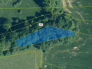 Dražba lesa, Újezd u Plánice, 1743 m2