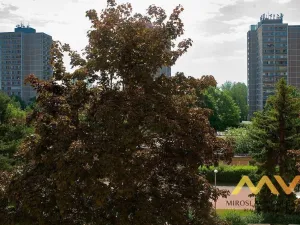 Pronájem bytu 1+kk, Hradec Králové - Pražské Předměstí, Hrubínova, 40 m2