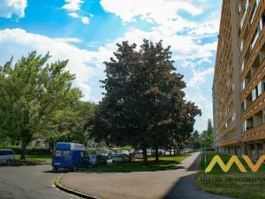 Pronájem bytu 1+kk, Hradec Králové - Pražské Předměstí, Hrubínova, 40 m2