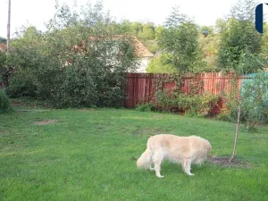 Prodej rodinného domu, Klučov, 120 m2