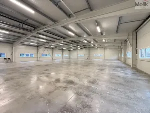 Pronájem skladu, Košťany, Kamenný Pahorek, 500 m2