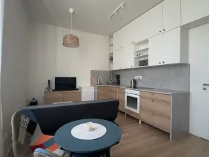 Pronájem bytu 1+kk, Ostrava - Moravská Ostrava, 28. října, 30 m2