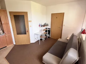 Pronájem bytu 1+1, Olomouc - Nová Ulice, Okružní, 26 m2