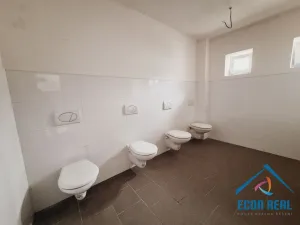 Prodej obchodního prostoru, Milovice - Benátecká Vrutice, 1080 m2