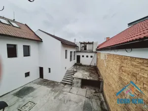 Prodej obchodního prostoru, Milovice - Benátecká Vrutice, 1080 m2