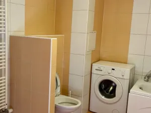 Pronájem bytu 2+1, Žatec, Otokara Březiny, 52 m2