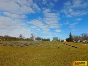 Prodej pozemku pro bydlení, Únanov, 500 m2