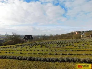 Prodej pozemku pro bydlení, Únanov, 500 m2