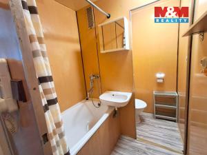 Pronájem bytu 1+1, Plzeň, Komenského, 38 m2