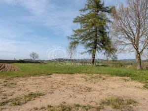 Prodej skladu, Kolinec, 260 m2