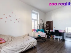 Prodej rodinného domu, Ústí nad Labem, Brožíkova, 355 m2