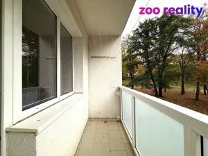 Pronájem bytu 2+1, Chomutov, Václavská, 53 m2