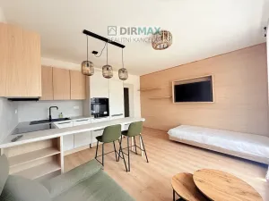 Pronájem bytu 1+kk, Plzeň, Slovanská, 32 m2