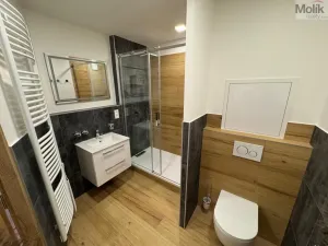 Pronájem bytu 3+1, Most, Josefa Ševčíka, 68 m2