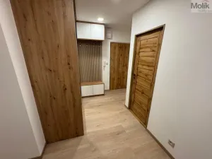 Pronájem bytu 3+1, Most, Josefa Ševčíka, 68 m2