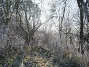 Prodej pozemku pro bydlení, Veletiny, 534 m2