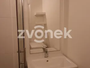 Pronájem bytu 1+1, Zlín - Malenovice, Husova, 32 m2