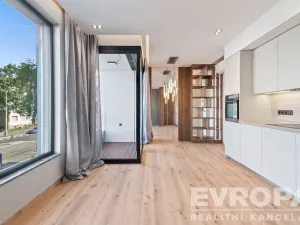 Pronájem bytu 1+kk, Praha - Břevnov, U Petřin, 35 m2