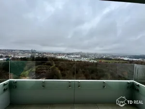 Pronájem bytu 2+kk, Brno, třída Generála Píky, 57 m2