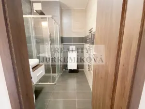 Pronájem bytu 1+kk, České Budějovice - České Budějovice 2, České Vrbné, 53 m2