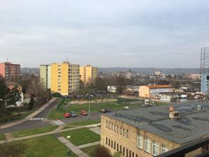 Prodej bytu 1+1, Žatec, Havlíčkovo náměstí, 41 m2