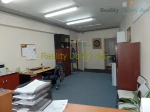 Pronájem skladu, Opava, Bochenkova, 219 m2