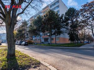 Prodej bytu 1+1, Praha - Střížkov, Černého, 34 m2