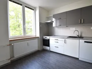 Pronájem bytu 2+1, Plzeň, Krejčíkova, 62 m2