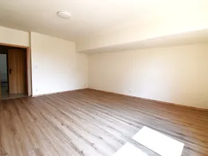 Pronájem bytu 2+1, Plzeň, Krejčíkova, 62 m2