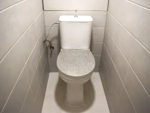 Pronájem bytu 2+1, Plzeň, Krejčíkova, 62 m2