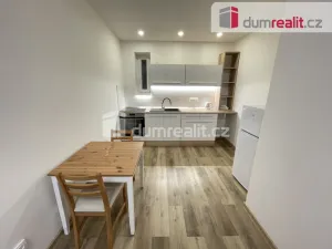 Pronájem bytu 2+kk, Praha - Žižkov, Biskupcova, 48 m2