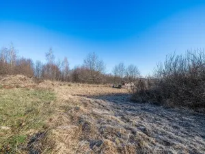 Prodej pozemku pro bydlení, Trhové Sviny, 1503 m2