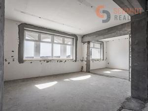 Prodej obchodního prostoru, Břeclav, Celnice-středisko služeb, 529 m2