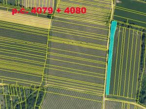 Prodej pole, Ořechov, 10343 m2