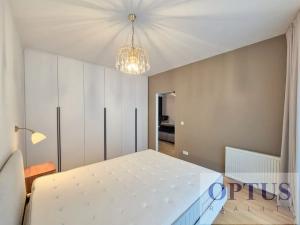 Pronájem bytu 2+kk, Praha - Karlín, Breitfeldova, 63 m2